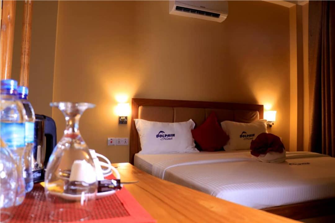 Dolphin Hotel タンガ エクステリア 写真